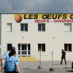 Vendée : le producteur d’œufs Geslin visé par une enquête pour falsifications et tromperies
La procureure de La-Roche-sur-Yon a ouvert une enquête après des conclusions de la DGCCRF.