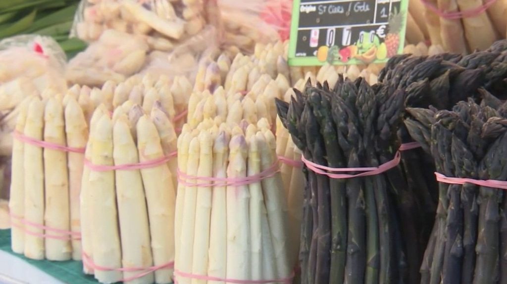 Haute-Gironde : la Fête de l'asperge du Blayais attire les curieux
Samedi 27 avril, les démonstrations culinaires se sont succédé à l'occasion de la Fête de l’asperge du Blayais, en Haute-Gironde.