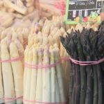 Haute-Gironde : la Fête de l'asperge du Blayais attire les curieux
Samedi 27 avril, les démonstrations culinaires se sont succédé à l'occasion de la Fête de l’asperge du Blayais, en Haute-Gironde.