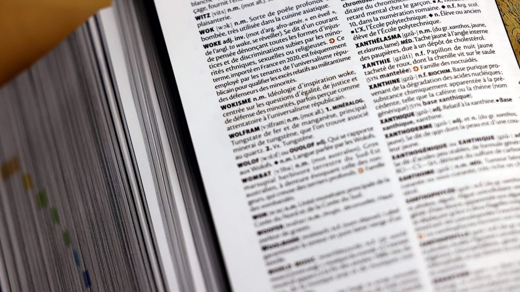 Nouveaux mots, francisation, usage… Comment les dictionnaires font le tri dans leurs nouvelles éditions
Chaque année, les dictionnaires présentent leur nouvelle version avec leur lot de nouveaux mots. Un choix qui incombe aux linguistes et conseillers scientifiques des différentes éditions.