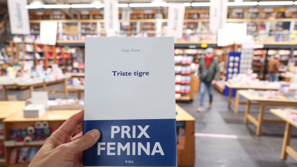 Le premier Choix Goncourt organisé en Turquie est attribué à "Triste tigre" de Neige Sinno
Le Choix Goncourt, organisé sous la présidence de l'écrivain Mathias Énard en Turquie : une première dans ce pays qui a su préserver sa longue histoire avec la francophonie malgré des relations parfois tumultueuses avec Paris.