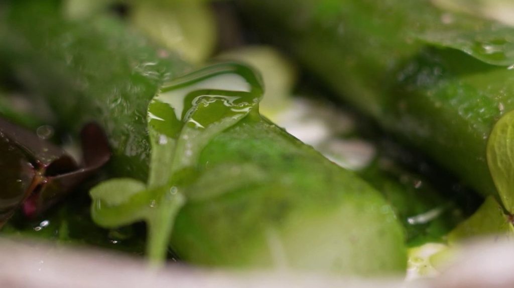 Gastronomie : l'oseille s'invite dans les assiettes au printemps
L'oseille est mise à l'honneur dans la rubrique "Les petits plats dans l'écran" samedi 6 avril. Cru ou cuit, ce légume-feuille printanier séduit aussi les grands chefs.