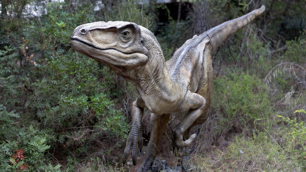 Un parc d'attraction dédié aux dinosaures crée la discorde dans l'Ain
D'un côté les opposants et les écologistes qui dénoncent un projet qui porte atteinte à la biodiversité, de l'autre le maire qui défend un parc pédagogique et un atout touristique.