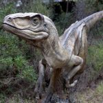 Un parc d'attraction dédié aux dinosaures crée la discorde dans l'Ain
D'un côté les opposants et les écologistes qui dénoncent un projet qui porte atteinte à la biodiversité, de l'autre le maire qui défend un parc pédagogique et un atout touristique.