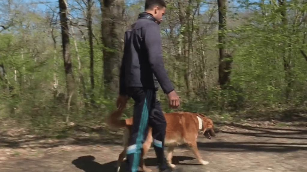 Animaux de compagnie : interdiction de promener son chien sans laisse en forêt du 15 avril au 30 juin
Du 15 avril au 30 juin, il sera interdit de promener son chien sans laisse en forêt en dehors des allées forestières et à moins de 100 mètres de son propriétaire, sous peine d'une amende pouvant aller jusqu'à 750 euros. Il s'agit d'une période cruciale pendant laquelle les animaux sauvages donnent naissance.