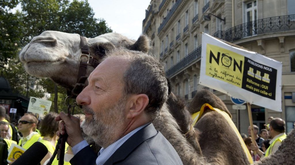 A Paris, une polémique sur un défilé de camélidés autour de la tour Eiffel
L'organisateur, maire d'une ville en Essonne, affirme vouloir soutenir "la cause du dromadaire". C'est la préfecture de police de Paris qui aura le dernier mot et dira si elle autorise ou pas cet "incroyable défilé".