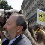 A Paris, une polémique sur un défilé de camélidés autour de la tour Eiffel
L'organisateur, maire d'une ville en Essonne, affirme vouloir soutenir "la cause du dromadaire". C'est la préfecture de police de Paris qui aura le dernier mot et dira si elle autorise ou pas cet "incroyable défilé".