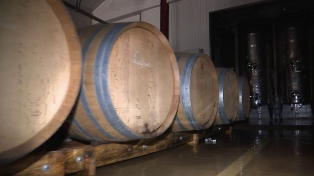 Inondations en Bourgogne : les viticulteurs en difficulté
Dans l'Yonne, l'eau a infiltré les exploitations viticoles, mercredi 3 avril. Fûts inondés, matériel endommagé… Les viticulteurs sont inquiets.