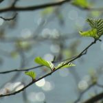 Météo : un week-end estival pour de nombreux Français
Les températures ont chuté dans une bonne partie de la France lundi 15 avril, mais une grande partie des Français ont pu profiter d’un week-end estival.