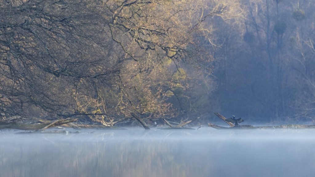 Intempéries : la vigilance rouge pluie-inondation levée en Moselle, quatre départements du nord-est en vigilance orange crues
Le Bas-Rhin, la Meurthe-et-Moselle, la Moselle et les Vosges sont en vigilance orange "crues".