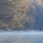 Intempéries : la vigilance rouge pluie-inondation levée en Moselle, quatre départements du nord-est en vigilance orange crues
Le Bas-Rhin, la Meurthe-et-Moselle, la Moselle et les Vosges sont en vigilance orange "crues".