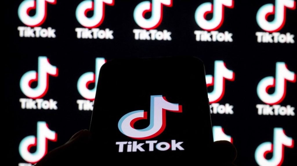 Emeutes en Nouvelle-Calédonie : la Quadrature du Net et la Ligue des droits de l'Homme attaquent en justice le blocage de TikTok
Les deux associations estiment que "le gouvernement porte un coup inédit et particulièrement grave à la liberté d'expression en ligne". L'interdiction de la plateforme de vidéos avait été jugée "fragile juridiquement" par plusieurs experts.