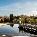 Sécheresse : une commune des Pyrénées-Orientales réutilise les eaux usées dans les espaces verts et bientôt dans l'agriculture
Pour faire face au manque d'eau lié à la sécheresse, une partie de ses eaux usées de Canet-en-Roussillon est utilisée pour arroser les espaces verts et servira bientôt pour la viticulture et l'agriculture.