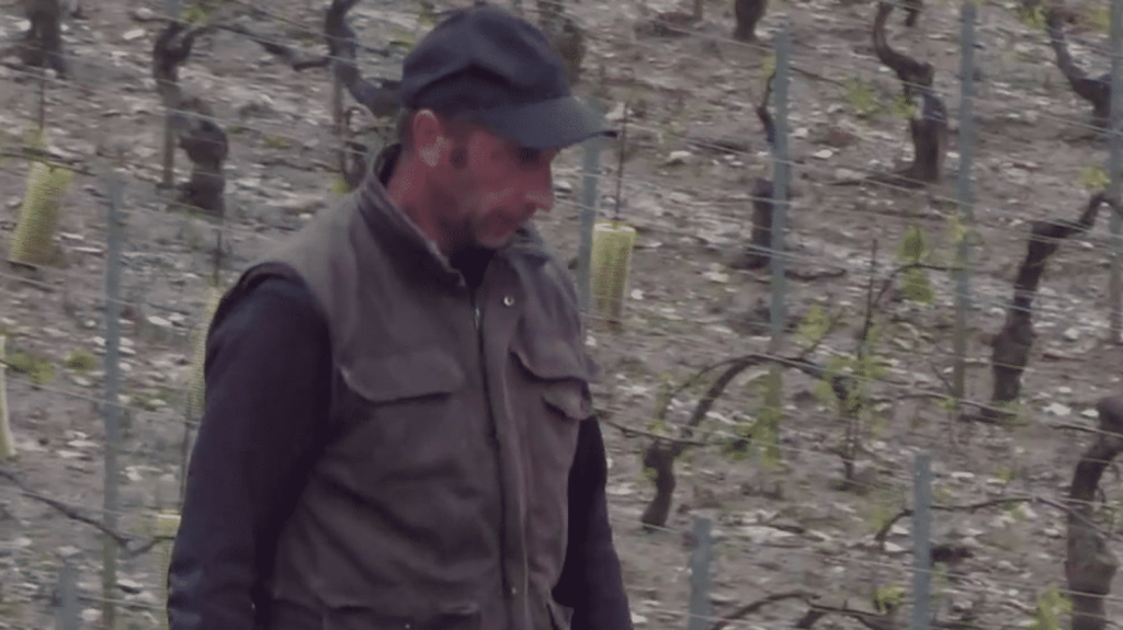 Intempéries : une grande partie du vignoble de Chablis a été détruit
En Bourgogne, les orages ont occasionné d’importants dégâts mercredi 1er mai. À Chablis, de nombreux vignobles ont été ravagés par la grêle.