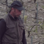 Intempéries : une grande partie du vignoble de Chablis a été détruit
En Bourgogne, les orages ont occasionné d’importants dégâts mercredi 1er mai. À Chablis, de nombreux vignobles ont été ravagés par la grêle.