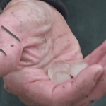 Intempéries : des champs et des vignes ravagés à Chablis
Dans l’Yonne, la grêle a ravagé les vignobles de Chablis. Des grêlons se sont abattus à deux reprises sur les vignes encore jeunes qui, pour beaucoup, n’ont pas résisté.