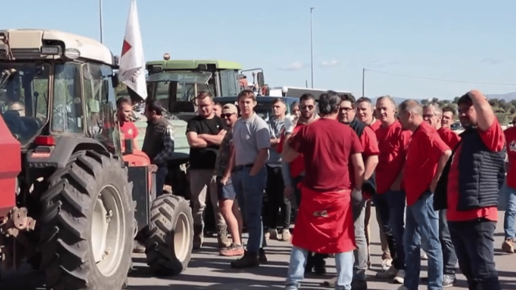 Tomates marocaines : action coup de poing des producteurs français sur l'A9, qui dénoncent une concurrence déloyale
Les producteurs de tomates français ont mené, dans la matinée du jeudi 16 mai, une action coup de poing à Perpignan, dans les Pyrénées-Orientales, au péage de l'autoroute A9. Ils protestaient contre la concurrence déloyale, selon eux, des producteurs marocains.