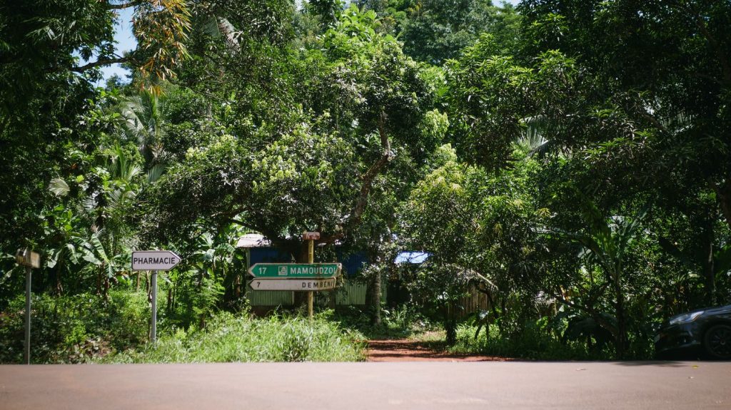 Mayotte : un enfant de 3 ans meurt du choléra, premier décès depuis l'apparition de cas en mars sur le territoire
Les équipes "procèdent au traitement de l'entourage" de cette jeune victime, précisent la préfecture et l'agence régionale de santé dans un communiqué.
