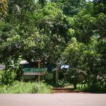 Mayotte : un enfant de 3 ans meurt du choléra, premier décès depuis l'apparition de cas en mars sur le territoire
Les équipes "procèdent au traitement de l'entourage" de cette jeune victime, précisent la préfecture et l'agence régionale de santé dans un communiqué.