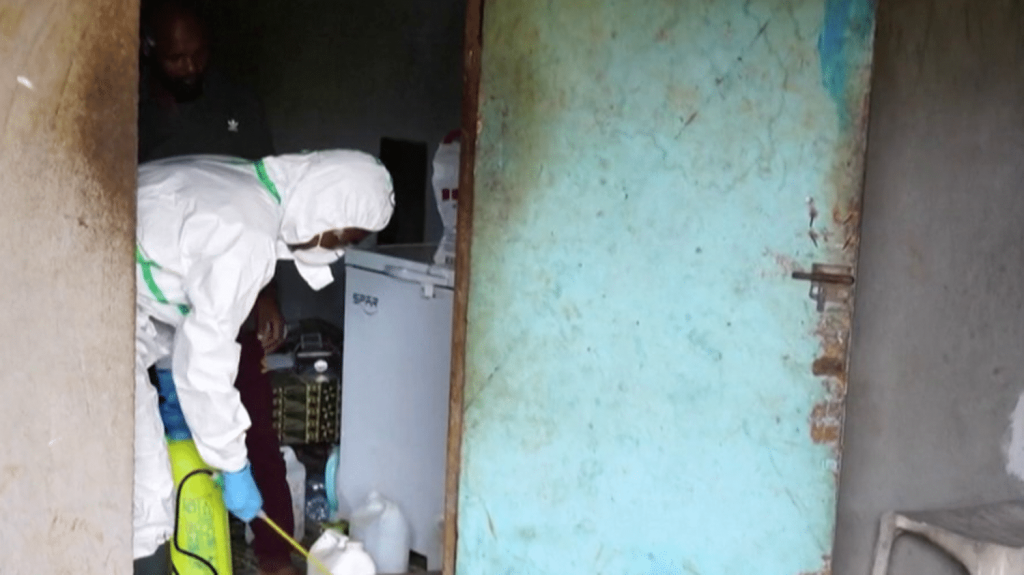 Choléra à Mayotte : deuxième décès depuis le début de l'épidémie
Une femme de 62 ans est décédée à Mayotte, touchée par l'épidémie de choléra. Il s'agit de la deuxième personne morte de la maladie sur l'archipel. 105 cas y ont été recensés.
