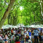Quand les chefs et les producteurs ouvrent ensemble la saison estivale
À l’orée de la belle saison, plusieurs festivals mettent les producteurs en avant autour des chefs qu’ils fournissent tout au long de l’année. Illustration ici dans le Sud.