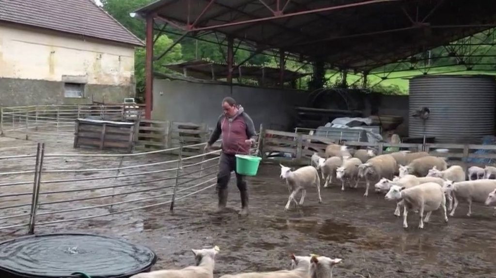 Agriculture : un financement participatif pour aider les agriculteurs à acheter des terres
Pour soutenir les agriculteurs, il est désormais possible d’investir pour les aider à acheter des terres agricoles pour ceux qui n’ont pas les moyens d’emprunter. Reportage.