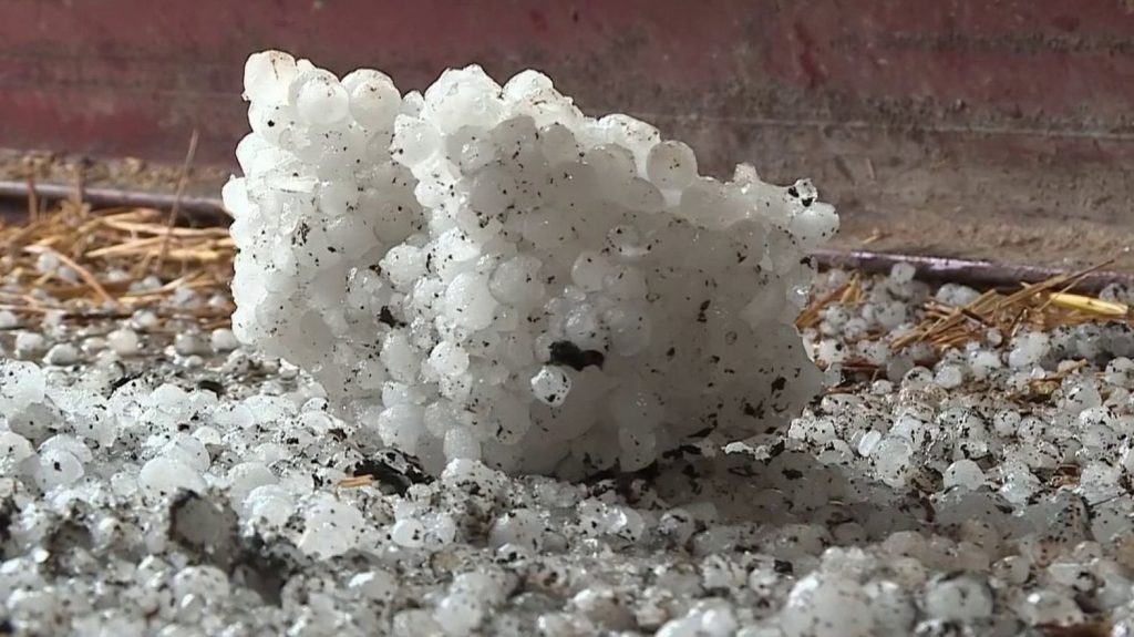 Côte-d'Or : des parcelles agricoles endommagées par des grêlons
En Côte-d'Or, des agriculteurs ont retrouvé des blocs de glace sur leurs parcelles. Au total, 350 hectares ont été ravagés.