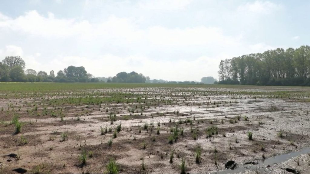Agriculture : les champs gorgés d'eau sont inutilisables
Dans l'Aisne, 5 000 hectares de terrains agricoles sont encore inondés, jeudi 9 mai. Les éleveurs ne peuvent pas semer ni faire paître leurs animaux.