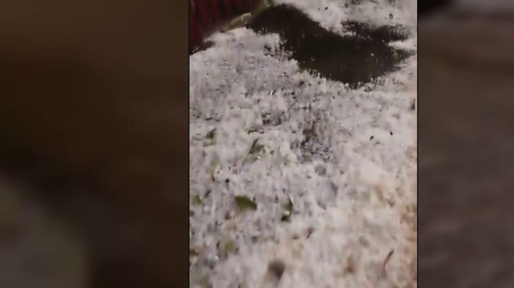 Intempéries : Tremblay-en-France recouvert de grêle
Les orages ont fait de gros dégâts à Tremblay-en-France, en Seine-Saint-Denis, dans la nuit du 1er au 2 mai.