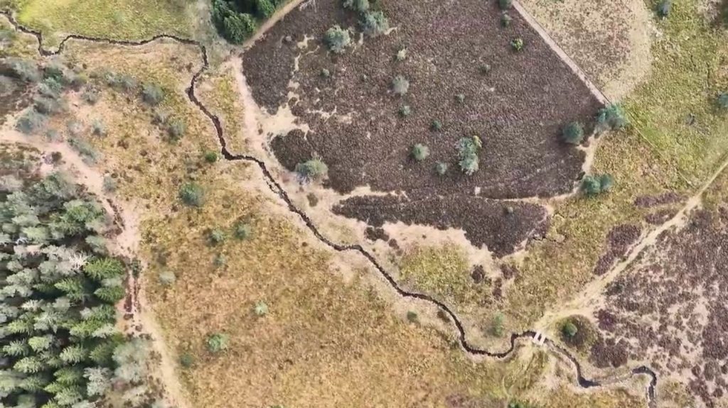 Corrèze : à la découverte de la nature sauvage du plateau des Millevaches
Direction la Corrèze dans le 13 Heures du vendredi 10 mai, pour découvrir le plateau des Millevaches et les spécialités locales.