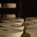Gastronomie : le Saint-Nectaire, le symbole de l'Auvergne
Le Saint-Nectaire est une star locale en Auvergne, où il est façonné à partir du lait des vaches de la région. Reportage.