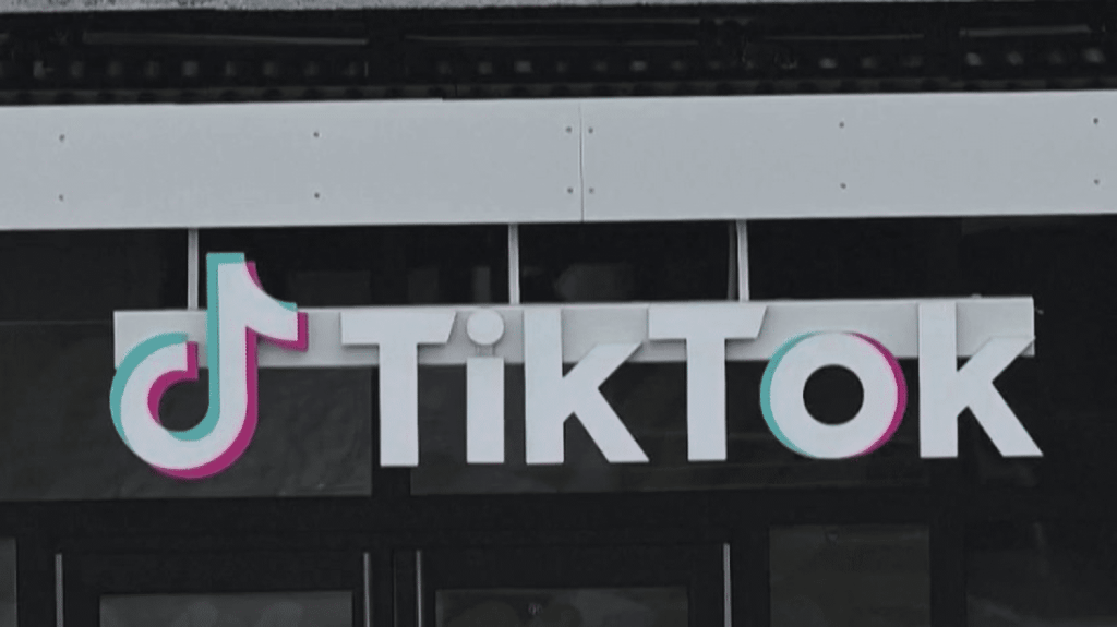 État d'urgence en Nouvelle-Calédonie : le réseau social TikTok bloqué sur l'archipel
Le gouvernement a décidé de bloquer le réseau social TikTok en Nouvelle-Calédonie. Une mesure sans précédent en France, rendue possible par la mise en place de l'état d'urgence, qui vise à éviter la diffusion d'appels à la haine et à la violence sur l'application.