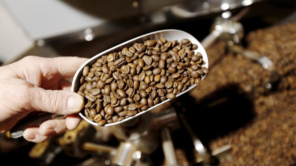 La torréfaction artisanale de café en plein essor
Boire un café torréfié de manière artisanale, c’est l’assurance de pouvoir choisir un goût d’exception. Et la demande est là...