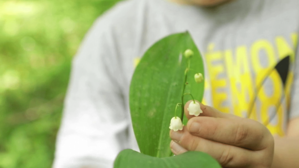1er-Mai : à Strasbourg, la tradition du muguet perdure
C'est la grande tradition du 1er mai : la vente du muguet un peu partout dans les rues. C'est d'ailleurs le jour de l'année où chacun peut s'improviser vendeur, à une condition : que les brins de muguets proviennent du jardin ou aient été cueillis en forêt.