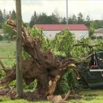 Dordogne : le département touché par un violent orage
Une tornade s'est abattue sur le village de Mouleydier, en Dordogne, dimanche 5 mai. L'événement, brutal mais court, a causé des dégâts matériels.