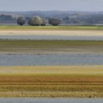 Crues : Météo-France place la Haute-Marne en alerte orange
Le prévisionniste met en garde, dans son bulletin de dimanche après-midi, contre le risque d'une crue importante sur la Marne amont.