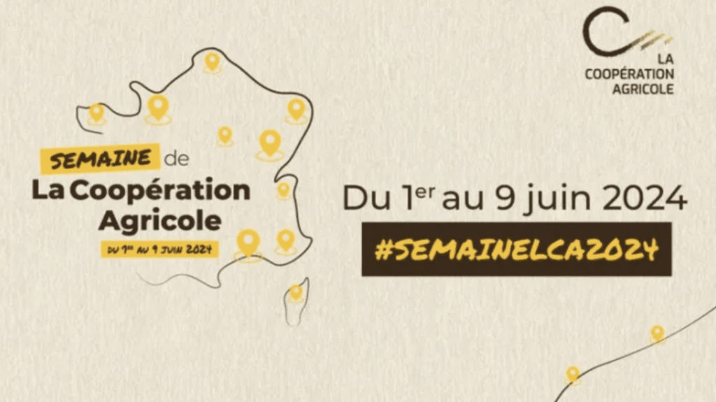 Un tiers des marques alimentaires appartiennent à des coopératives agricoles
Jusqu’au 9 juin, c’est la semaine nationale des Coopératives agricoles. L’occasion de donner un coup de projecteur sur ces structures qui regroupent plus de trois quarts des agriculteurs, et représentent un tiers des marques alimentaires.
