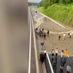 Haute-Savoie : une impressionnante coulée de boue paralyse l'autoroute
Dimanche 9 juin, les habitants de Collonges-sous-Salève, en Haute-Savoie, ont été surpris par une coulée de boue massive. L'A40 a été bloquée.