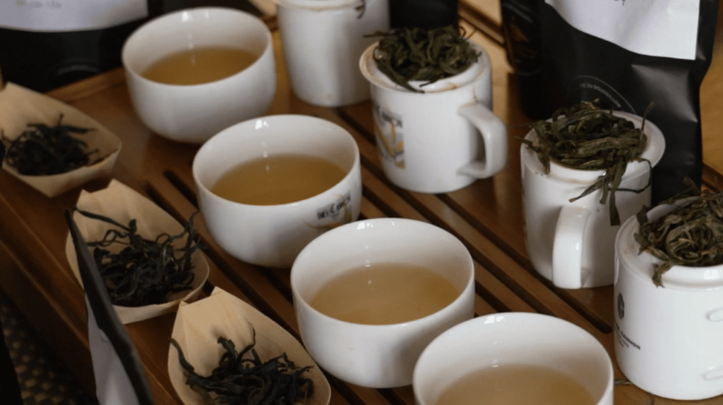 Agriculture : en Bretagne et en Occitanie, la culture du thé séduit
La culture du thé séduit de plus en plus d’agriculteurs. La filière a été mise en place à La Réunion, mais il existe des champs de théiers en Bretagne, dans les Landes ou encore en Occitanie.