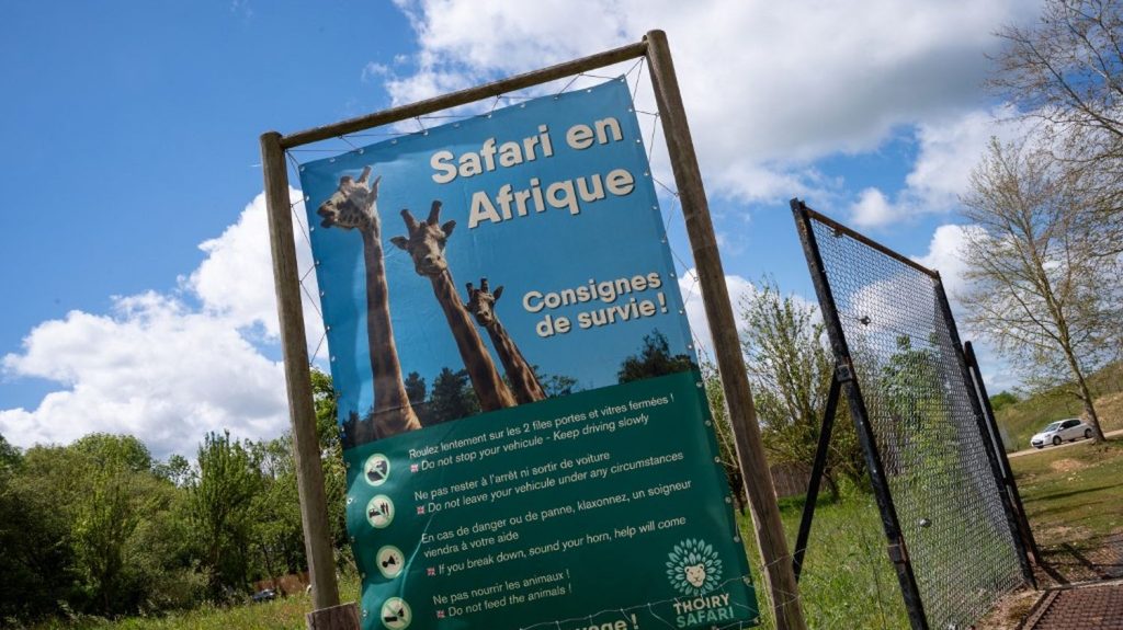 Une femme grièvement blessée au zoo de Thoiry après avoir été attaquée par trois loups dans une zone réservée
D'après les premiers témoignages recueillis, c'est en voulant faire un footing que la victime de 37 ans s'est retrouvée dans une zone interdite aux piétons.