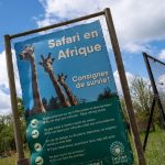 Une femme grièvement blessée au zoo de Thoiry après avoir été attaquée par trois loups dans une zone réservée
D'après les premiers témoignages recueillis, c'est en voulant faire un footing que la victime de 37 ans s'est retrouvée dans une zone interdite aux piétons.