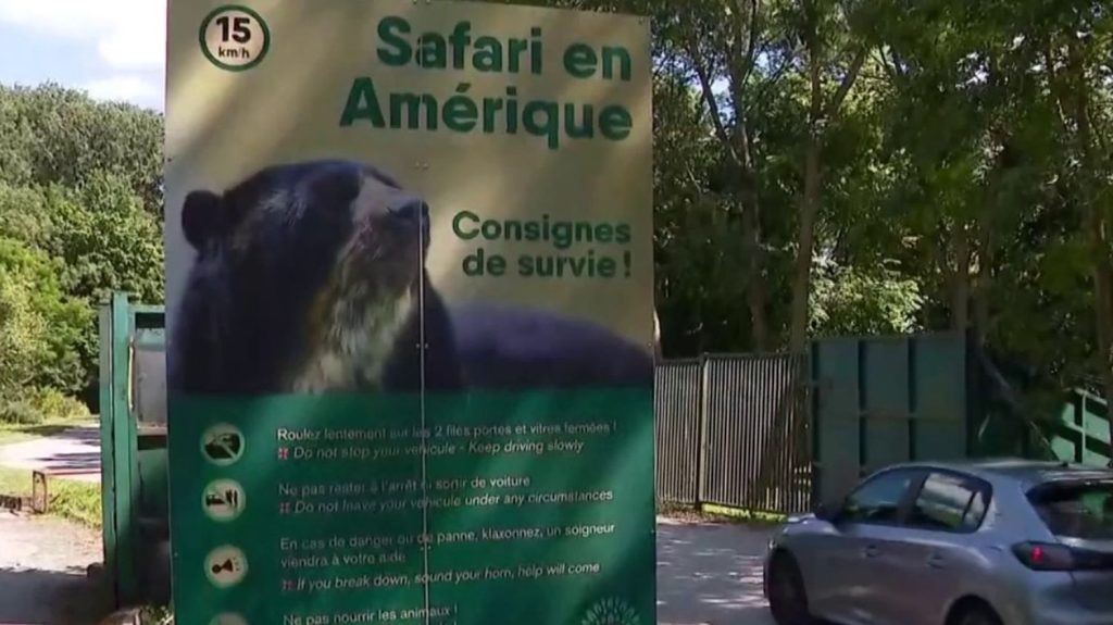 Zoo de Thoiry : une femme grièvement blessée après avoir été attaquée par des loups
Dimanche 23 juin, une femme de 37 ans a été attaquée par trois loups alors qu'elle faisait son jogging sur un chemin interdit aux piétons au zoo de Thoiry, dans les Yvelines. Elle a été hospitalisée en urgence après avoir été mordue à la gorge, aux bras et aux mollets.