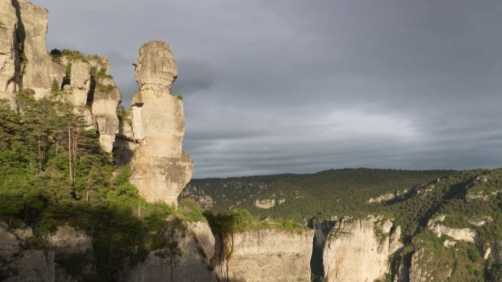 Cévennes : les spectaculaires gorges de la Jonte
Ce lieu incontournable pour les randonneurs ou les grimpeurs abrite également des vautours, oiseaux qui avaient disparu dans les années 1930.