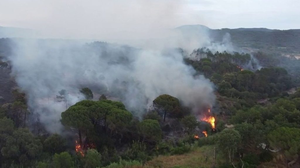 Var : un incendie a ravagé 600 hectares de forêt
Mercredi 12 juin, 600 hectares sont partis en fumée dans le Var. Les sapeurs-pompiers sont toujours à pied d'œuvre sur place pour éteindre les flammes. Les habitants ont été évacués.