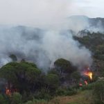 Var : un incendie a ravagé 600 hectares de forêt
Mercredi 12 juin, 600 hectares sont partis en fumée dans le Var. Les sapeurs-pompiers sont toujours à pied d'œuvre sur place pour éteindre les flammes. Les habitants ont été évacués.