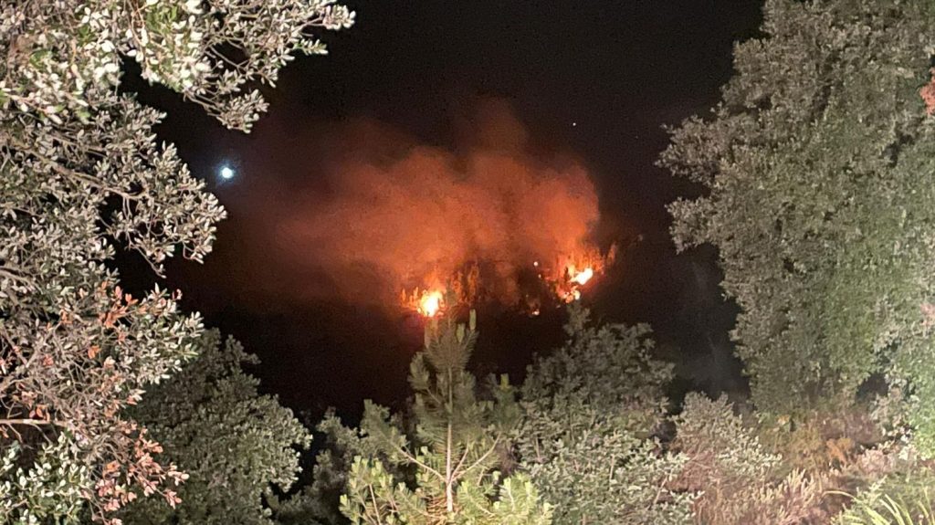 Un incendie a déjà ravagé 600 hectares dans le massif varois des Maures
Le feu s’est déclaré mardi après-midi sur la commune de Vidauban et n’est toujours pas fixé. Plusieurs centaines de pompiers sont mobilisés.