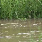 Intempéries : d’importants dégâts à travers la France
À Nantes, plusieurs écoles ont été envahies par les eaux, ce jeudi 20 juin au soir, une partie du périphérique nantais est totalement inondée, ce qui provoque d’importants bouchons.