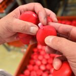 Face au succès du Mini Babybel, l'usine Bel de Mayenne va passer en production continue et recrute
Alors qu'elle tourne déjà en 24h/24, l'usine d'Évron cherche 113 salariés d'ici septembre pour passer en 7 jours sur 7. Seule usine Bel uniquement dédiée au Mini Babybel, elle en produit actuellement 5 millions par jour. Insuffisant pour faire face à la demande en Europe et aux États-Unis.