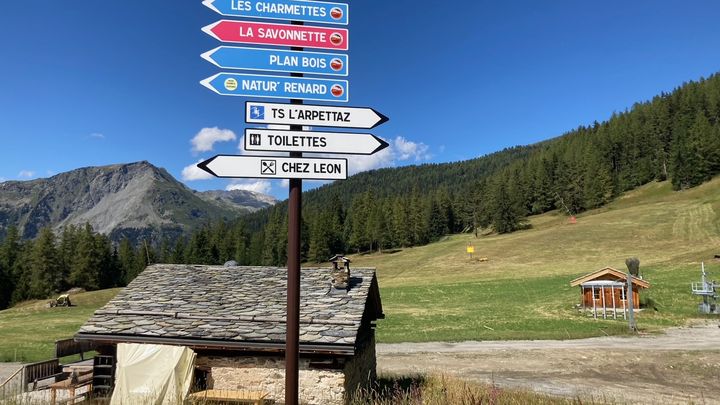 Chasse aux papillons, cani-rando, randonnées pédestres, VTT, accrobranche... L'été, la montagne fourmille d'activités à pratiquer en famille. (INGRID POHU / RADIOFRANCE)