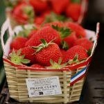 Récoltes abondantes et prix attractifs... Les producteurs de fraises françaises espèrent connaître un bel été 2024
Les fraises françaises vont se déverser sur les étals, avec un pic de production jusqu'à la fin du mois. Les prix sont enfin plus attractifs.